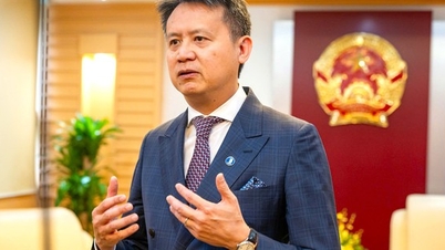 WIPO cam kết đồng hành cùng Việt Nam xây dựng nền kinh tế tri thức