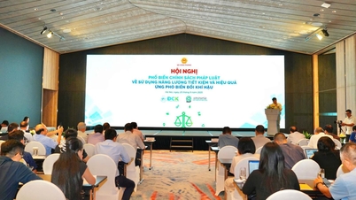Thúc đẩy đổi mới sáng tạo, lan tỏa thực hành tiết kiệm năng lượng