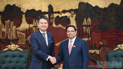 Mong WIPO đẩy mạnh hợp tác, hỗ trợ Việt Nam phát triển khoa học công nghệ, đổi mới sáng tạo, sở hữu trí tuệ
