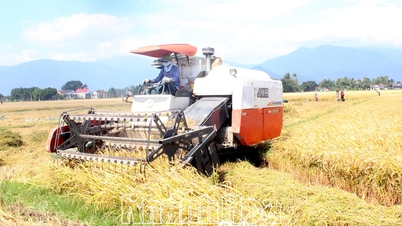 Nông dân xã Vạn Ninh: Thi đua sản xuất, kinh doanh giỏi