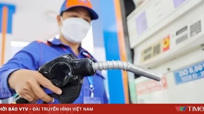 RON95のガソリン価格は1リットルあたり20,000ドン近く