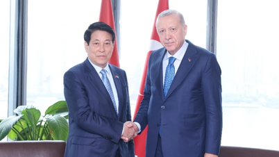 President Luong Cuong ontmoet Turkse president