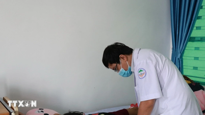 Potential risk of widespread dengue fever outbreak in Dong Thap