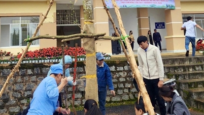 Trồng cây chào mừng Đại hội Đảng bộ tỉnh tại Bệnh viện Đa khoa Lâm Đồng