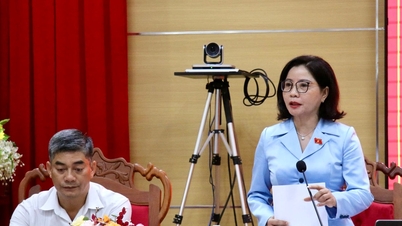 Đắk Lắk: Cử tri kiến nghị nhiều nội dung liên quan đến lĩnh vực giao thông, đất đai, y tế