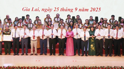 Gia Lai: Chú trọng phát hiện, bồi dưỡng gương điển hình tiên tiến
