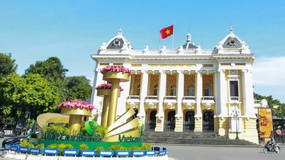 Quảng trường mới - sức chứa có làm nên sức hút ?