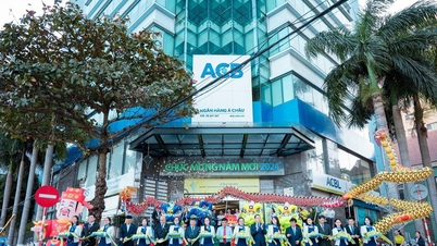 بازرسان تخلفات زیادی را در شرکت لیزینگ مالی ACB مشاهده کردند.