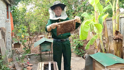 ຮູບແບບການລ້ຽງເຜິ້ງທີ່ມີປະສິດທິພາບຂອງນັກຮົບເກົ່າ