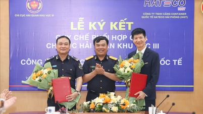 Chi cục Hải quan khu vực 3 đóng góp xứng đáng vào sự phát triển chung của thành phố Cảng