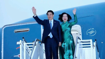 Presiden berjaya menamatkan programnya untuk menghadiri Perbahasan Umum Peringkat Tinggi sesi ke-80 Perhimpunan Agung Pertubuhan Bangsa-Bangsa Bersatu, menggabungkan aktiviti dua hala di Amerika Syarikat.