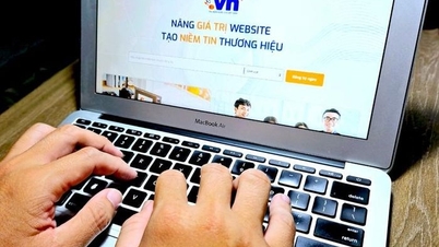 Triển khai Chương trình hỗ trợ người dân, doanh nghiệp hiện diện trực tuyến với tên miền “.vn”