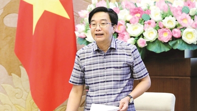 Perfecting mechanisms and policies to promote substantial and sustainable growth