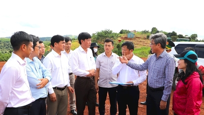 Lam Dong surveys the location to build an inter-level boarding school in Quang Truc