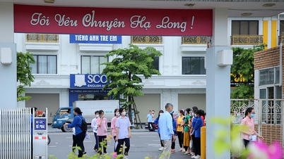 Quảng Ninh, Hải Phòng lên phương án cho học sinh nghỉ học do bão Ragasa