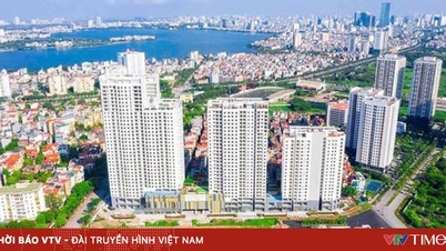 Розплутування «вузького місця» цін на житло: розвиток соціального житла має бути стратегічним пріоритетом