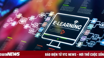 Kinh nghiệm thực tiễn triển khai đào tạo trực tuyến các trường đại học, cao đẳng