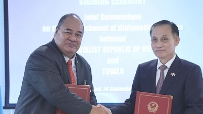 Vietnam navázal diplomatické vztahy se všemi členskými zeměmi Organizace spojených národů.