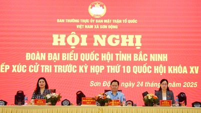 Die Delegation der Nationalversammlung der Provinz Bac Ninh traf sich mit Wählern der Gemeinde Son Dong.