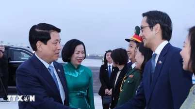 大統領、第80回国連総会出席のための旅を無事終了