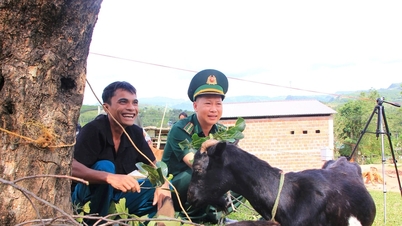 Điểm sáng kinh tế nơi vùng biên Quảng Trị