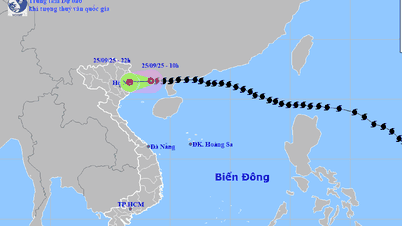 Bão Ragasa đã suy yếu thành một vùng áp thấp trên khu vực Quảng Ninh