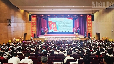 Lan tỏa những bông hoa việc tốt, quyết tâm xây dựng tỉnh...