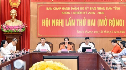 Phát huy đoàn kết, trách nhiệm, quyết tâm thực hiện thắng lợi Nghị quyết Đại hội Đảng bộ UBND tỉnh