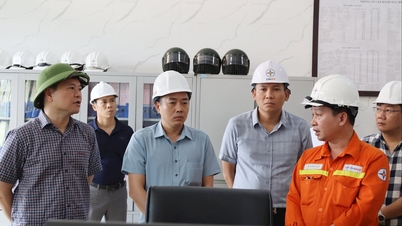 ថ្នាក់ដឹកនាំទីក្រុង Hai Phong ចុះត្រួតពិនិត្យការងារបង្ការព្យុះលេខ៩