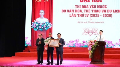 ការប្រកួតប្រជែងគឺជាកម្លាំងចលករសម្រាប់ការអភិវឌ្ឍន៍