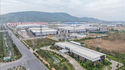 Auf dem Weg zum 14. Parteitag: Quang Ninh transformiert das Modell erfolgreich „von Braun zu Grün“