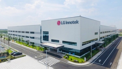 Kapitalinvesteringar i den elektriska och elektroniska industrin i Vietnam