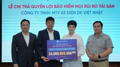 Chi trả trên 34 tỷ đồng quyền lợi bảo hiểm cho Công ty TNHH MTV Xe điện DK Việt Nhật tại Lạng Sơn