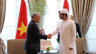 응우옌 호아 빈 상임부총리는 UAE 관계자와 기업 지도자들을 접견했습니다.