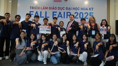 Giới thiệu hàng trăm chương trình cao đẳng, đại học, và sau đại học của Mỹ
