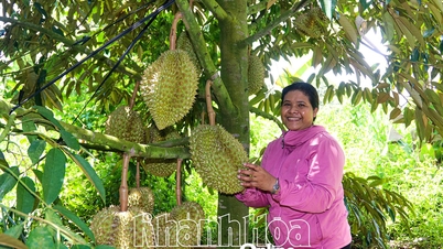 Những phụ nữ dân tộc thiểu số làm kinh tế giỏi