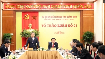 Thảo luận Tổ tại Đại hội Đại biểu Đảng bộ tỉnh Quảng Ninh lần thứ XVI: Góp trí tuệ, tâm huyết định hình tầm nhìn phát triển trong giai đoạn mới