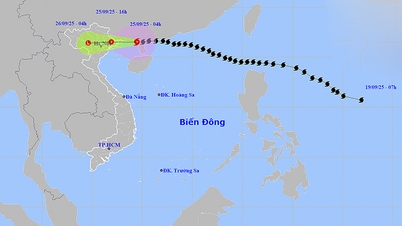 Thời tiết ngày 25/9: Bão số 9 tiến vào đất liền Bắc Bộ, gây mưa lớn diện rộng