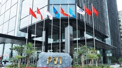 PVIは現金配当を支払う権利を終了し、利率は31.5%