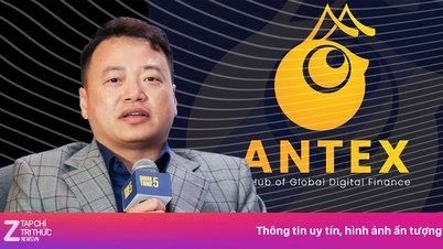 V jakém mincovním projektu byl Shark Binh podveden?
