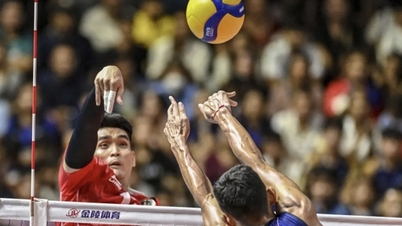 Ngoại binh tràn ngập giải bóng chuyền Việt Nam