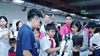 Đưa AI vào tiểu học không phải để biến học sinh thành các kỹ sư công nghệ