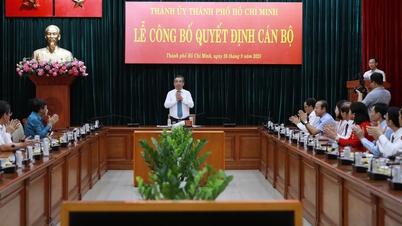 Thành ủy TP.HCM đưa nhiều cán bộ thành phố về Đảng ủy phường, xã
