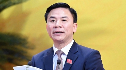 政治局は中央委員会に、元タインホア党書記のド・チョンフン氏を懲戒するよう提案した。