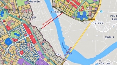 Hanoi speeds up research progress on three key transport infrastructure projects