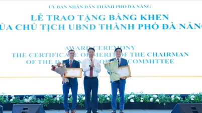 Da Nang'ı yeşil, akıllı ve yaşanabilir bir şehre dönüştürmek