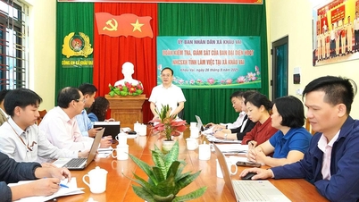 Representatives of the Board of Directors of the Provincial Social Policy Bank inspected and supervised in Meo Vac area.