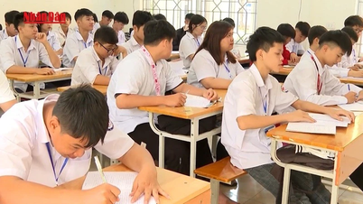 [영상] 평생교육 교사 여름방학 미확보 상황 극복