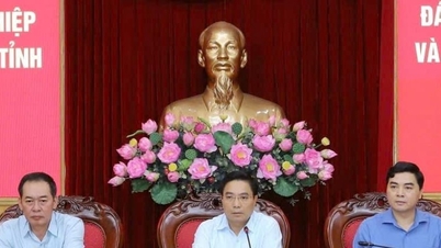 Thanh Hoa៖ លុបបំបាត់ការលំបាកក្នុងការអភិវឌ្ឍន៍អាជីវកម្ម និងសកម្មភាពនាំចូល-នាំចេញ