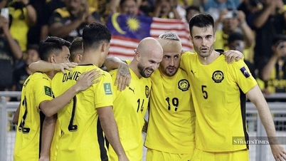 Malajziai honosítással rendelkező játékosok zűrzavarban a FIFA döntése előtt